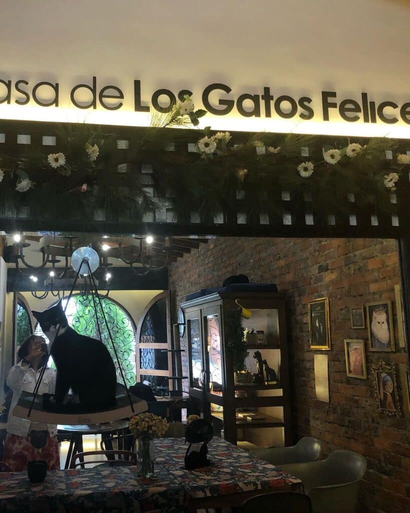 La Gatoria