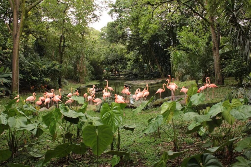 Parque de la Conservación