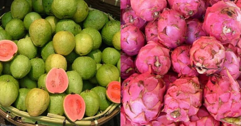 Unusual, Healthy And Delicious Colombian Fruits