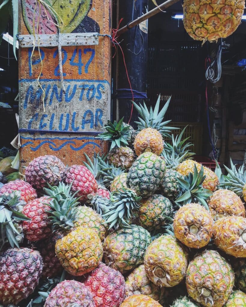 Exotic Fruit Tour